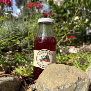 Maasika siirup 260ML
